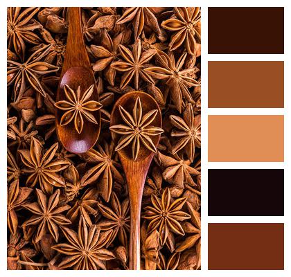 Spoon Spices Star Anise Image